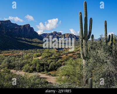 Le site de loisirs Water Users Recreation, au nord-est de Phoenix, en Arizona, est magnifique et robuste Banque D'Images