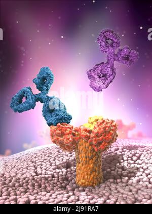 Anticorps multicolores ou structures protéiques d'immunoglobulines fixés au récepteur 3D illustration Banque D'Images