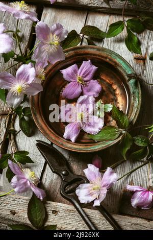 Belles fleurs clematis rose pastel dans un bol en laiton vintage avec eau. Fleurs, plantes ou concept sain et relaxant. Style rustique. Vue de dessus. Banque D'Images