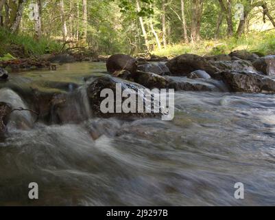 La rivière Oder près d'Oderhaus dans le parc national de Harz, Saint-Andreasberg, Basse-Saxe, Allemagne Banque D'Images