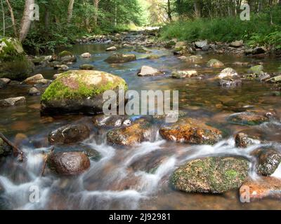 La rivière Oder près d'Oderhaus dans le parc national de Harz, Saint-Andreasberg, Basse-Saxe, Allemagne Banque D'Images