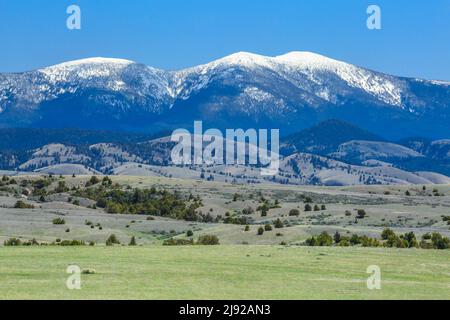 mont baldy dans les grandes montagnes de ceinture au-dessus des contreforts près de townsend, montana Banque D'Images