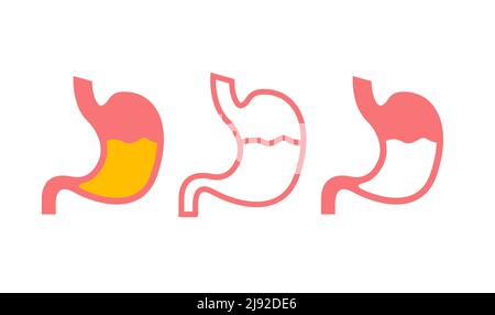 Symbole de contour médical de l'icône de ligne d'estomac. Icône gastrique de l'estomac plat Illustration de Vecteur
