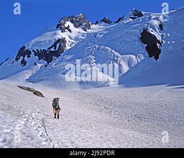 Glacier bleu sous les sommets est et moyen du Mt. Olympus, Parc national olympique, Washington Banque D'Images