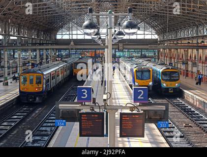 Northern & Trans-Pennine Express DMU & EMU sur les plates-formes de la gare Piccadilly NPR 1-4, services de transports en commun de Manchester Banque D'Images