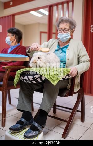 France, Bretagne, Tinteniac, le 2021-09-23. Séance de médiation animale à l'EHPAD de Tinteniac Maison de Retraite Sainte-Anne. Photo de Martin Ber Banque D'Images