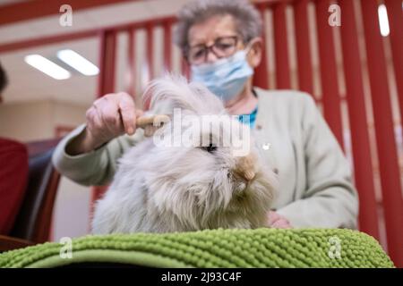 France, Bretagne, Tinteniac, le 2021-09-23. Séance de médiation animale à l'EHPAD de Tinteniac Maison de Retraite Sainte-Anne. Photo de Martin Ber Banque D'Images