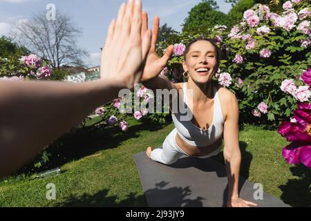 femme joyeuse donnant cinq hauts à l'ami tout en pratiquant la pose de planche dans le parc Banque D'Images