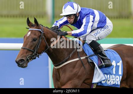 Photo du dossier datée du 09-10-2020 de Winter Power, qui devrait faire une réapparition réussie dans les piquets du temple de Cazoo à Haydock samedi. Date de publication : vendredi 20 mai 2022. Banque D'Images