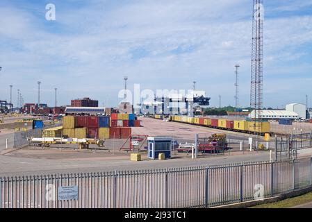 Quai à conteneurs et tête de chemin de fer à quai au port de Felixstowe, Suffolk, Royaume-Uni. Banque D'Images