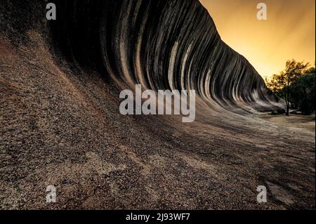 Wave Rock exceptionnel dans l'Outback de l'Australie occidentale. Banque D'Images