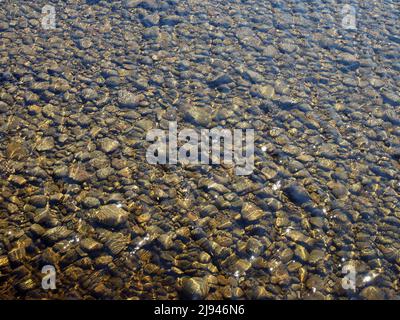 Eau claire et peu profonde qui coule sur le lit de la rivière de galets doux par une journée ensoleillée. Banque D'Images
