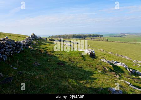 Vestiges d'anciens murs en pierre et de murs modernes en pierre sèche traversant Minninglow Hill dans le Derbyshire. Banque D'Images