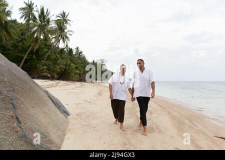 Amoureux homosexuels marchant le long de la plage en tenant les mains Banque D'Images