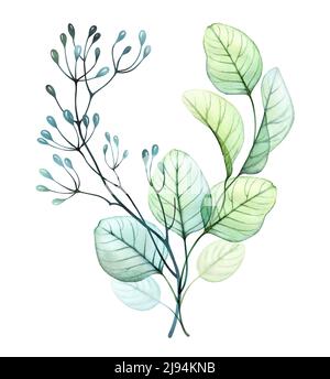 Bouquet de feuilles aquarelle. Verdure en forme de coeur. Illustration botanique dessinée à la main isolée sur blanc. Abstrait floral transparent Banque D'Images