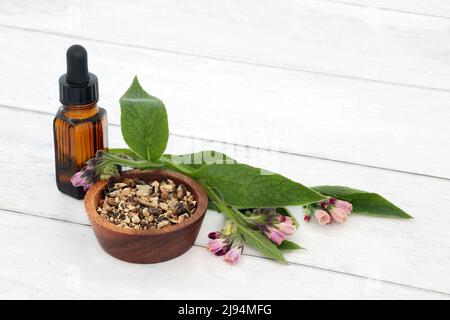 Feuilles et racines d'herbe de comfrey utilisées en médecine de plantes pour les problèmes de peau, les brûlures, l'enflure, les entorses et les ecchymoses. Utilisé également comme anti-inflammatoire. Banque D'Images