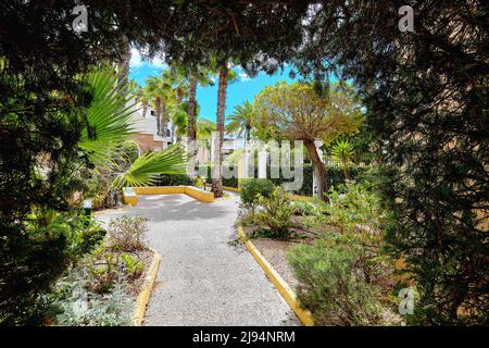 Par la plante naturelle de la voûte vue au jardin à l'intérieur urbanisation privée pendant la journée chaude ensoleillée, pas de personnes. Torrevieja, Costa Blanca, province d'Alic Banque D'Images