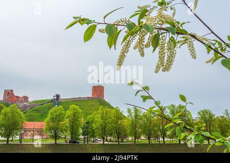 Vilnius château supérieur avec tour de Gediminas Banque D'Images