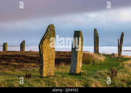 The Ring of Brodgar at Dawn, Mainland, Orkney Isles, Écosse, Royaume-Uni Banque D'Images