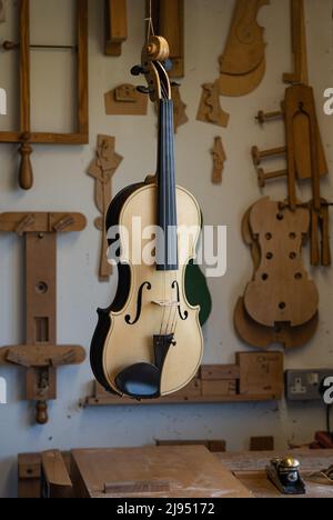 Unique Black Bog Oak violon Banque D'Images