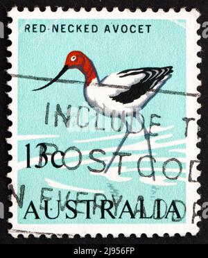 AUSTRALIE - VERS 1966 : un timbre imprimé en Australie montre Avocet à col rouge, Recurvirostra Novaehollandiae, Bird, vers 1966 Banque D'Images