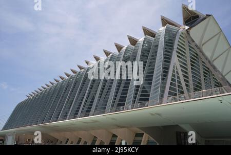 Le Museu des Ciències Príncipe Felipe (Museu des Ciències Príncipe Felipe) à la Cité des Arts et des Sciences, Valence, Espagne. Banque D'Images