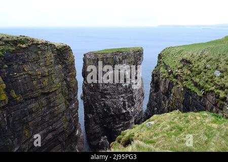 Île Handa, Sutherland, falaises de grès torridonien, qui abrite des auks, des puffins, des fulmars. Scottish Wildlife Trust. Piles de mer, extrême nord du Royaume-Uni Banque D'Images