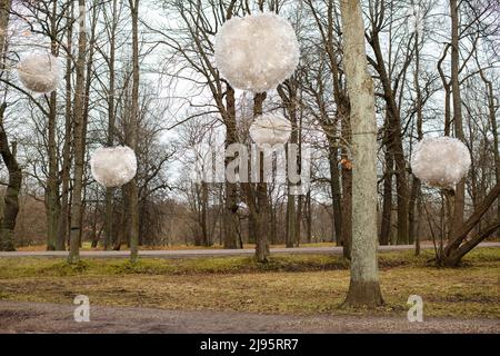 Parc Kadriorg, Tallinn, Estonie Banque D'Images