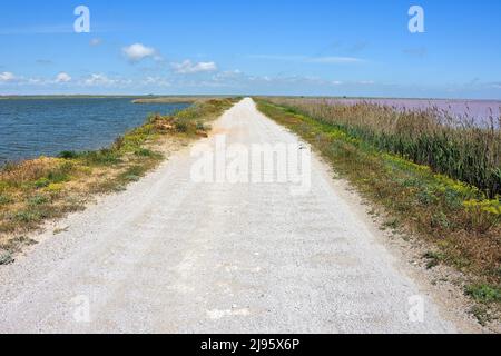 Pink Salt Lake dans Crimea-Sasyk-Sivash Banque D'Images