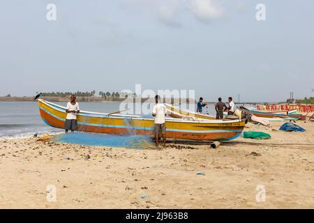 Les pêcheurs trient leurs prises matinales sur Wayari Bhurnath Beach, Malvan, Maharashtra, Inde Banque D'Images