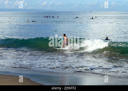 Un jeune surfeur sur une vague à Batu Bolong Beach à Canggu, Bali, Indonésie Banque D'Images