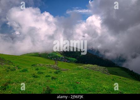 Le plateau de Gito est l'un des plateaux situés dans la vallée de la Cat du district de Camlıhemşin de Rize. Il a une hauteur de 2070 mètres. Rize, Turquie. Banque D'Images