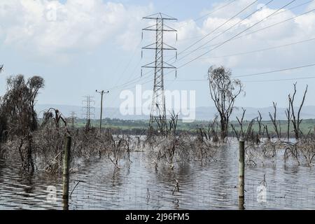 Vue sur les pylônes d'électricité à haute tension submergés du lac Nakuru. Au cours des 10 dernières années, les lacs de la vallée du Rift ont connu une hausse constante de ce que les experts font remarquer comme les effets du changement climatique. Les inondations ont déplacé des centaines de personnes de leur foyer et de leur travail, les communautés pauvres et marginalisées les plus touchées. Banque D'Images