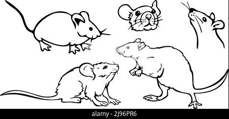 Illustration vectorielle avec collection de souris. Souris et rats noirs et blancs. Illustration de Vecteur