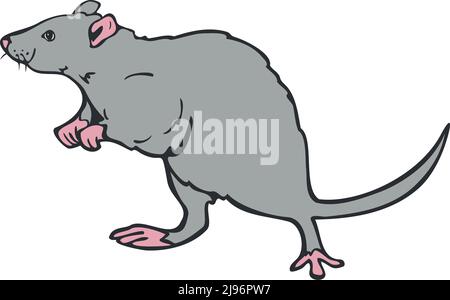 Illustration vectorielle de rat dessiné à la main. Rat coloré et représenté par une ligne. Illustration de Vecteur