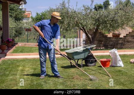 Image d'un jardinier ramassant de l'herbe morte et sèche de sa pelouse avec un râteau. Banque D'Images