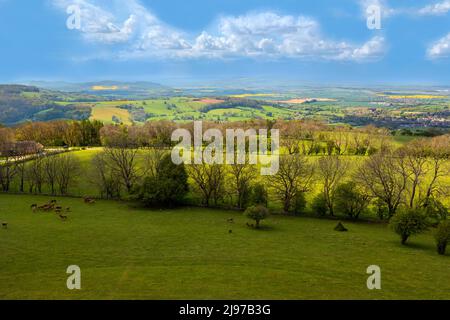 Une vue imprenable sur la vallée d'Evesham depuis le toit de Broadway Tower, Broadway Tower Country Park, Worcestershire, Angleterre, Royaume-Uni. Banque D'Images