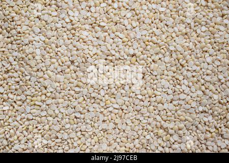 Lentilles Urad blanches séchées et séchées Banque D'Images