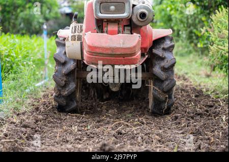 Agronome contrôlant le labourage des tracteurs à deux roues sur le terrain en plantation. Agro-alimentaire préparant des terres cultivées pour le semis Banque D'Images