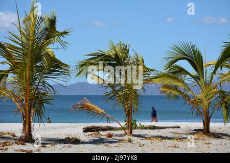 Les gens sur la plage à Playa Coco, Costa Rica Banque D'Images