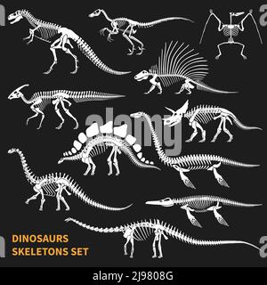 Les squelettes de dinosaures ont isolé des icônes sur fond de tableau noir illustration vectorielle de style dessinée à la main Illustration de Vecteur