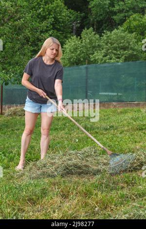 Une fille recueille de l'herbe sèche avec un râteau de jardin Banque D'Images
