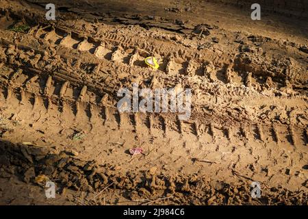 Traces de pneus imprimées dans le sable humide. Banque D'Images