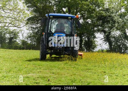 Remplissage des champs dans Devon Banque D'Images