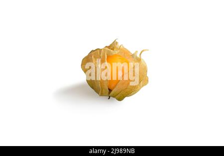 Physalis fruit isolé sur blanc. Orange physalis baie coupée avec ombre Banque D'Images