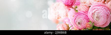 Fleurs roses frais Banque D'Images