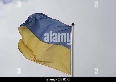 Copenhague/Danemark/21 mai 2022/les drapeaux ukrainiens flotteraient au-dessus de la capitale danoise Copenhague. (Photo..Francis Dean/Dean Pictures) Banque D'Images