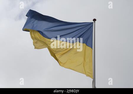 Copenhague/Danemark/21 mai 2022/les drapeaux ukrainiens flotteraient au-dessus de la capitale danoise Copenhague. (Photo..Francis Dean/Dean Pictures) Banque D'Images