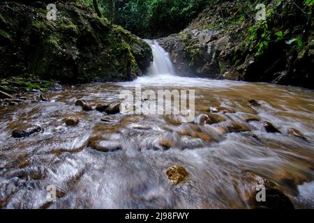 Intérieur de la jungle centrale du Pérou, végétation dense avec des rivières et des cascades pleines de pureté et de tranquillité. Banque D'Images