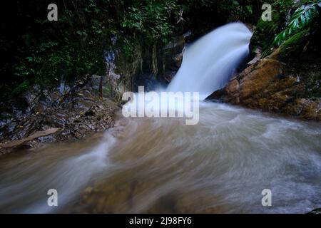 Intérieur de la jungle centrale du Pérou, végétation dense avec des rivières et des cascades pleines de pureté et de tranquillité. Banque D'Images